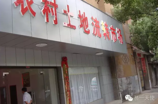 農村金融