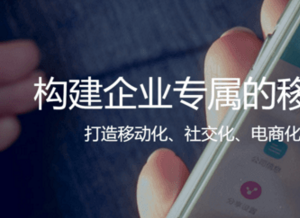 為何訂單管理SaaS能衍變成B2B電商？易訂貨CEO馮頡是這么說的