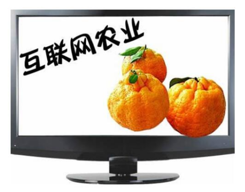 互聯網農業