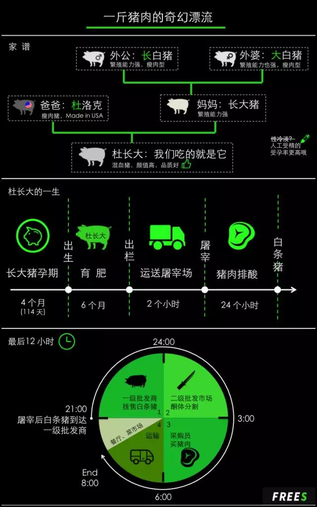 豬肉經歷