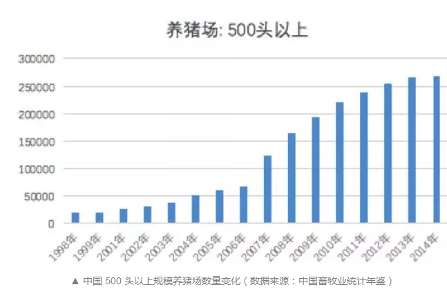 養豬場500頭以上