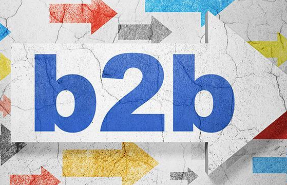 B2B3.0