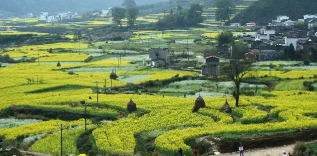 農(nóng)村金融