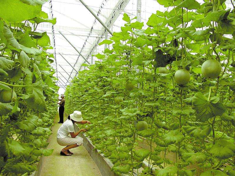 年流水10億 好伙計的產業互聯網生意