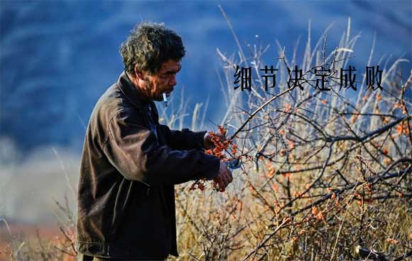細節決定成敗