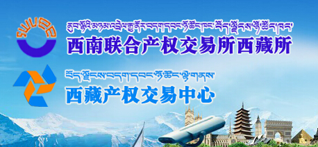 西藏產權交易中心觸網轉型做電商