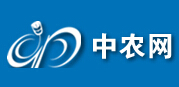 “中農網”布局大宗農產品的B2B電商平臺