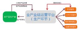 雨潤深度布局“互聯網+”打造雨潤果蔬網